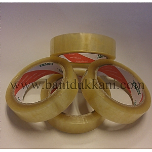 Astel Koli Band� 24x66