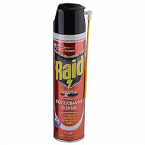 Raid B�ceksavar K�p�k