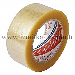 Vege ASLAN Koli Band� 45x100 (48adet)